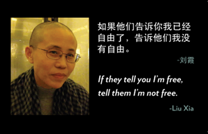Las inquietantes fotografías de Liu Xia